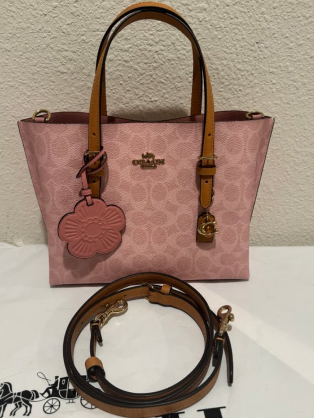 Coach Mollie Tote Bag 25 Signature Canvas With Charms CER24